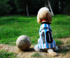 临时救助 “急先锋”！盐城市社会救助中心为困难群众解燃眉之急